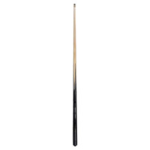 IQ Pool pool cue