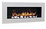 InterWorld 24 ethanol fireplace