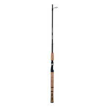 Ugly Stik spinning rod