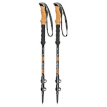 Cascade Mountain Tech walking stick