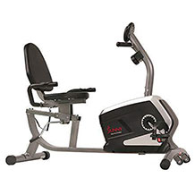 Sunny Health & Fitness recumbent bike