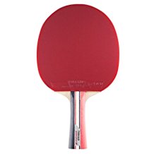 Tibhar table tennis paddle