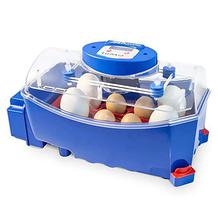 Borotto egg incubator