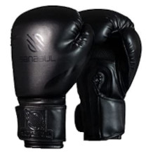 Sanabul boxing glove