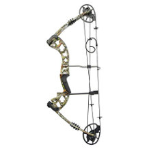 ZSHJG compound bow