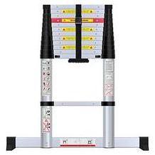 WolfWise extension ladder