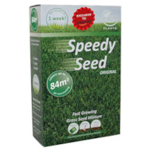 pronto seed grass seed