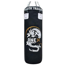 ONEX punching bag