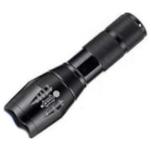 WESLITE UV flashlight