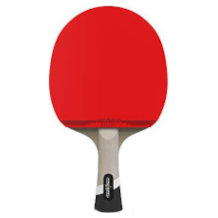 PRO SPIN table tennis bat