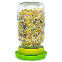GROW YOUR PANTRY sprouting jar