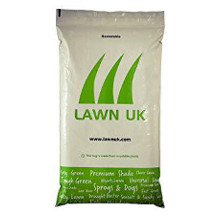 Lawn UK grass seed