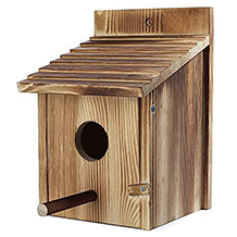 szm bird feeding station