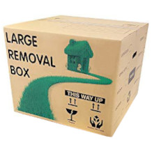 STORM TRADING GROUP removal box