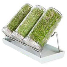 Cressery sprouting jar