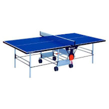 table tennis table