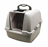 cat litter box