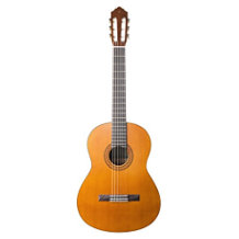 acoustic guitar