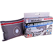 car dehumidifier