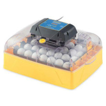 egg incubator