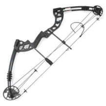 compound bow