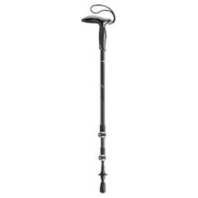 nordic walking poles