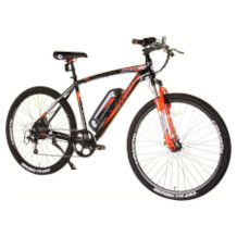 Electric mountain bike