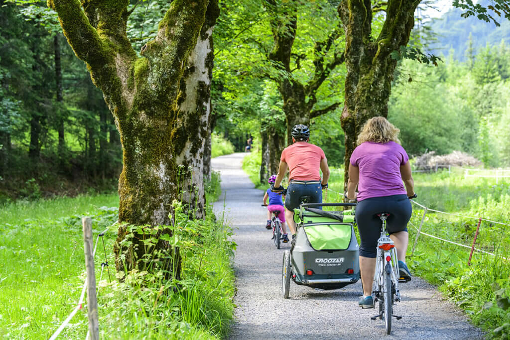 Family cycling with bicycle carrier