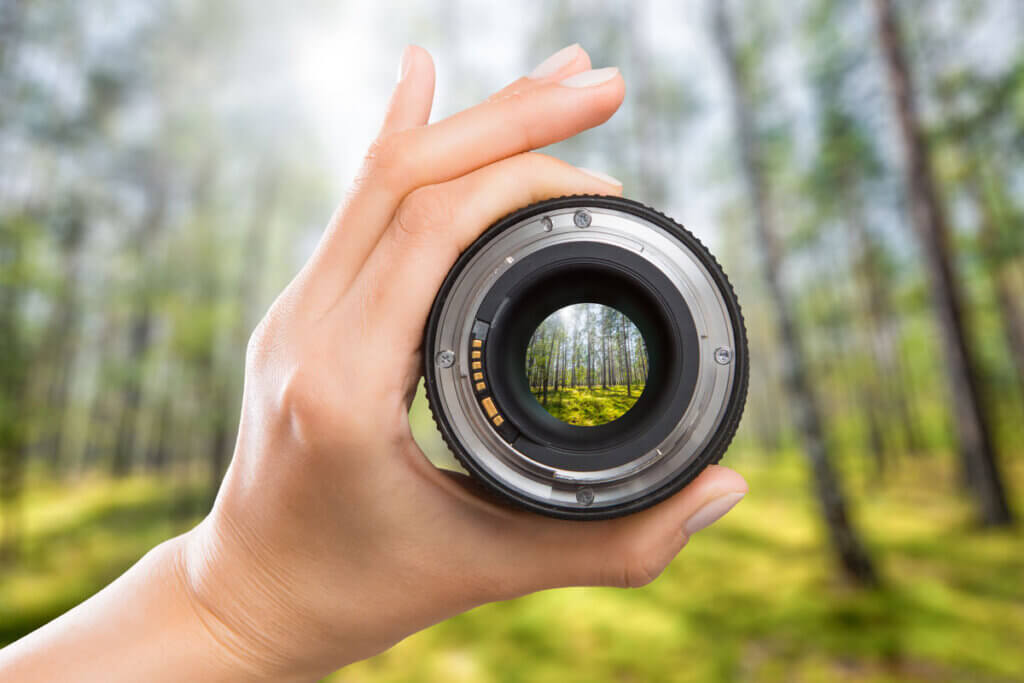 Hand holding a bringe camera lens in a forest.