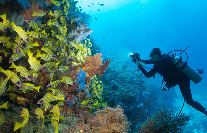 underwater camera