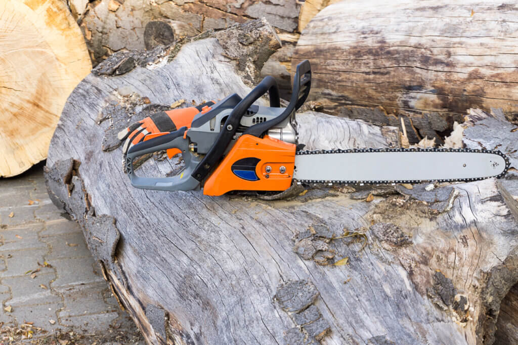 saw on tree log