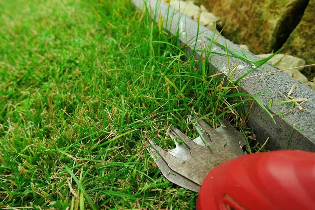 battery grass shears cutting the lawn