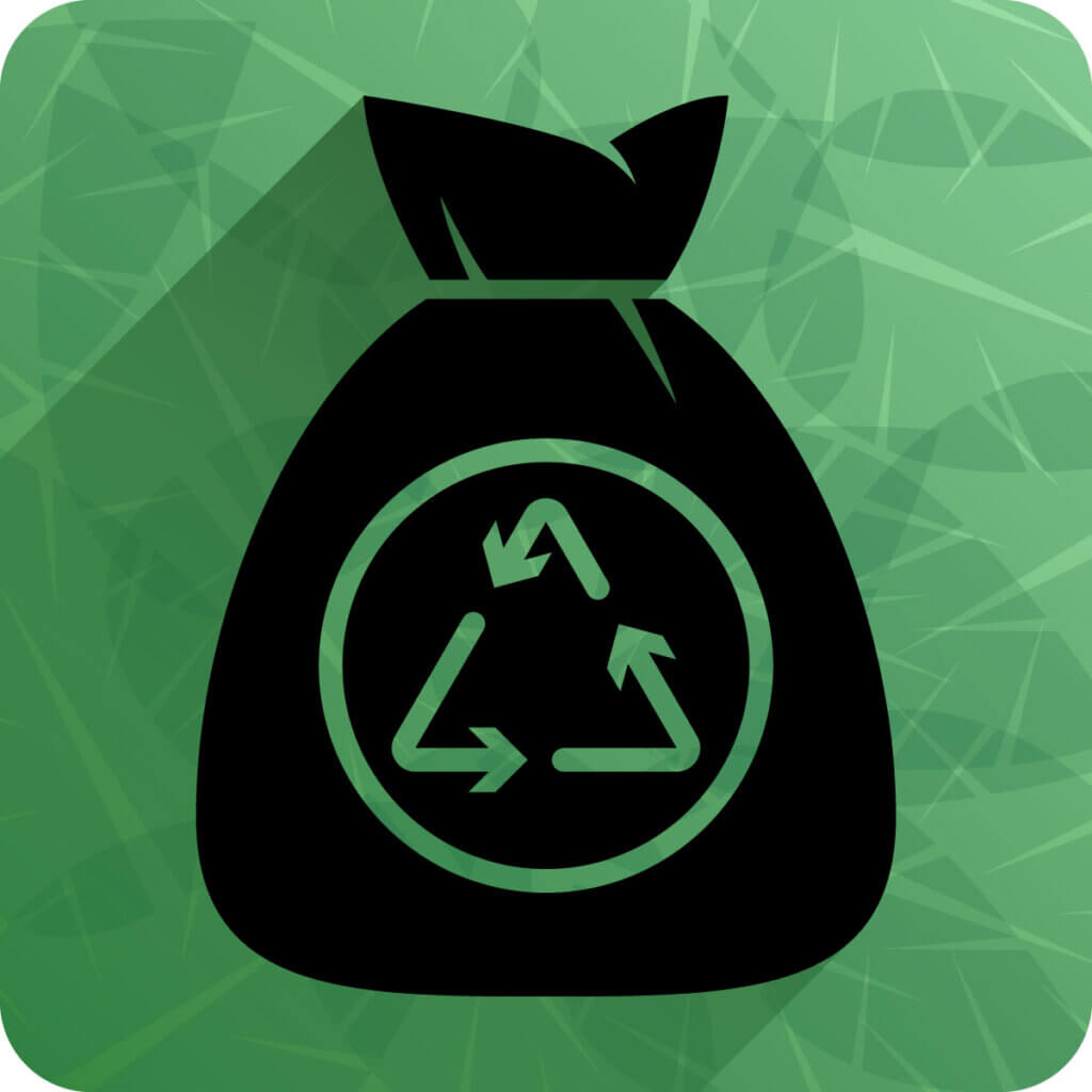 Catch bag - Icon