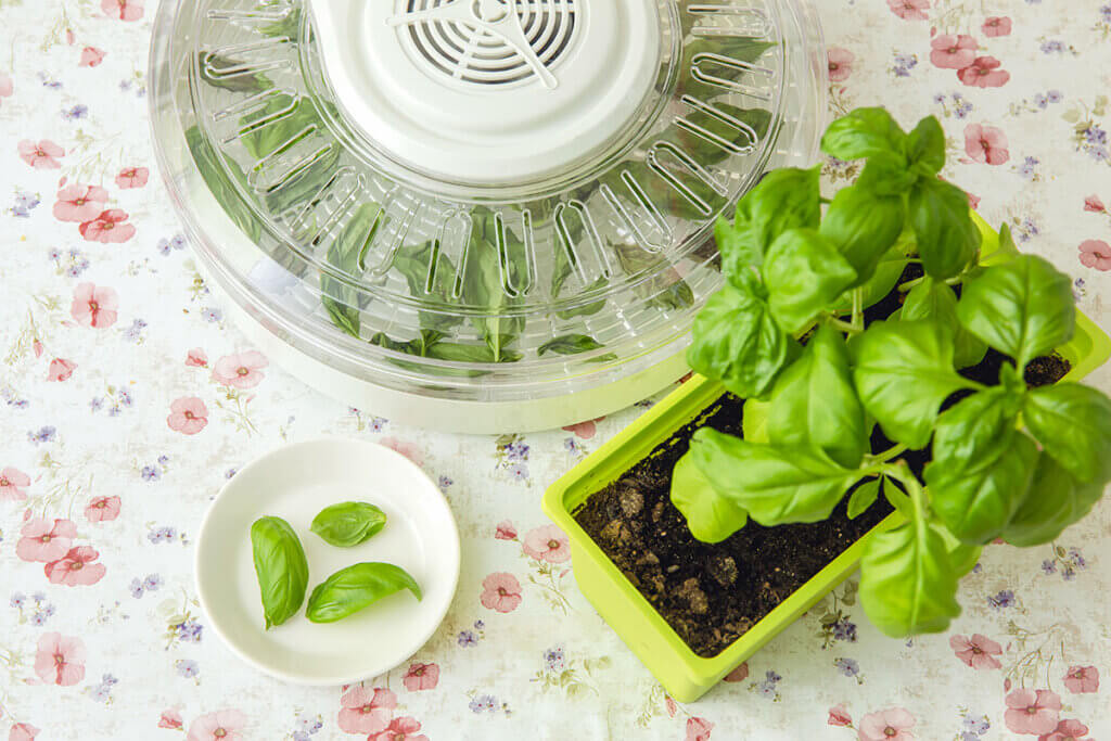 Dehydrator Herbs