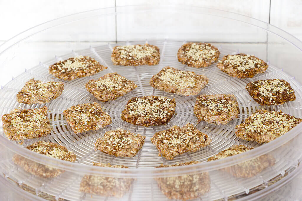 Dehydrator Biscuits