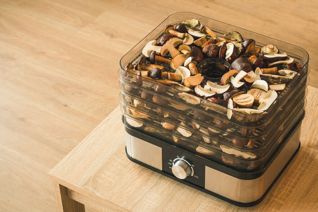 Vegetable dehydrator