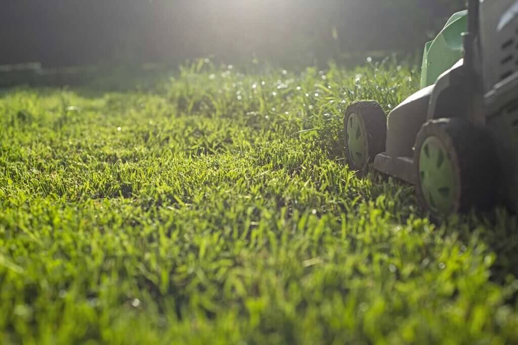 lawn mower at work