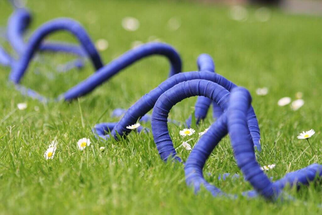 Blue hose on lawn