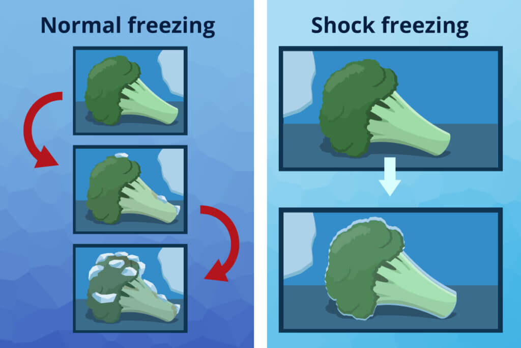 shock_freeze