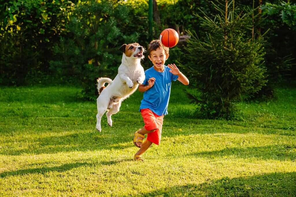 Children and dogs play on grass