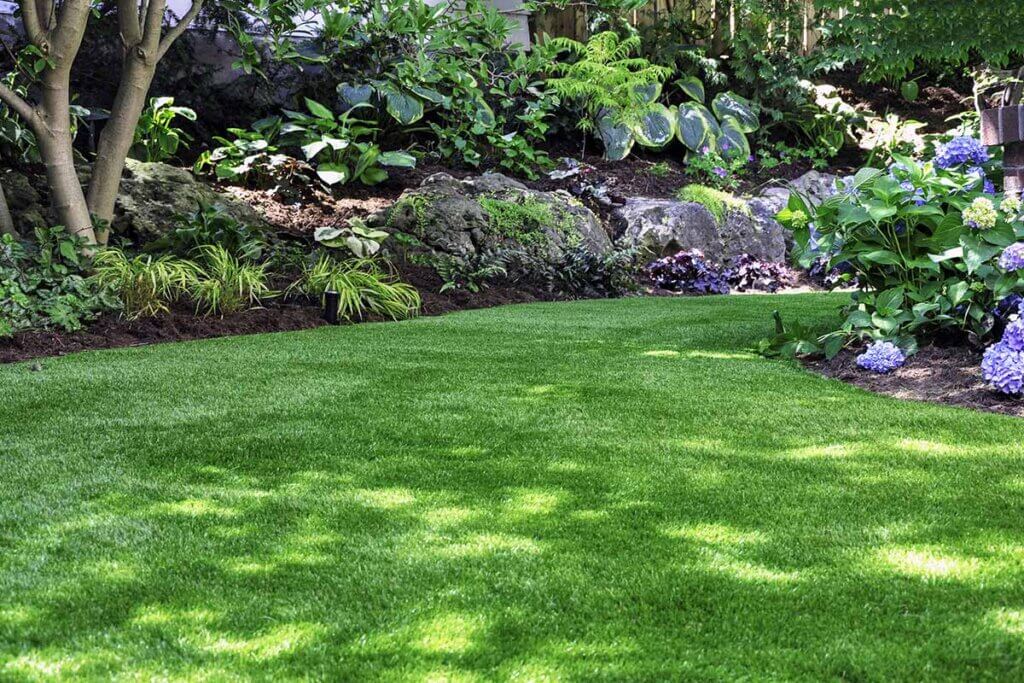 Garden with plants and mown lawn