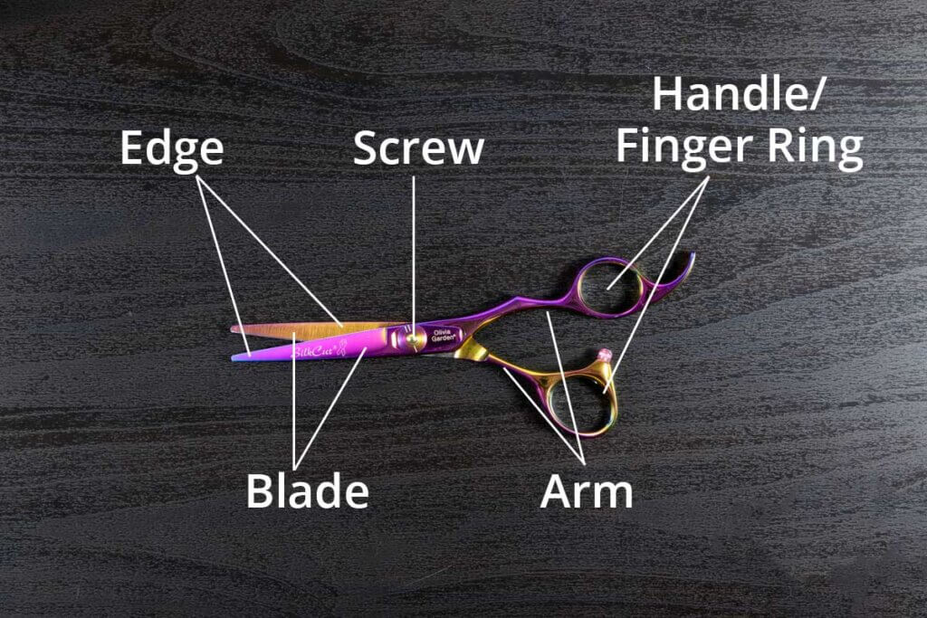 anatomy of a hairdressing scissor