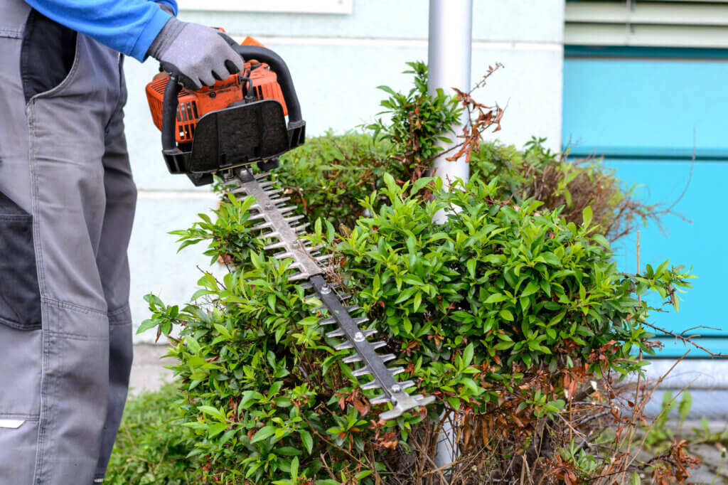 Electric hedge trimmer