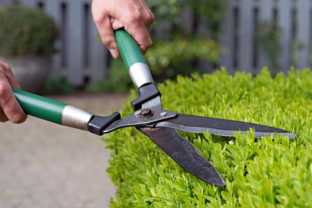 Hand hedge trimmer close up