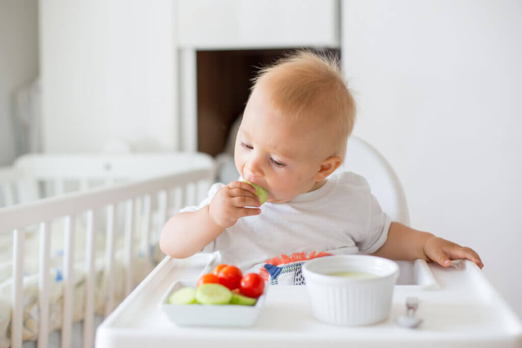 baby eats a slice of cucumber in the high chair