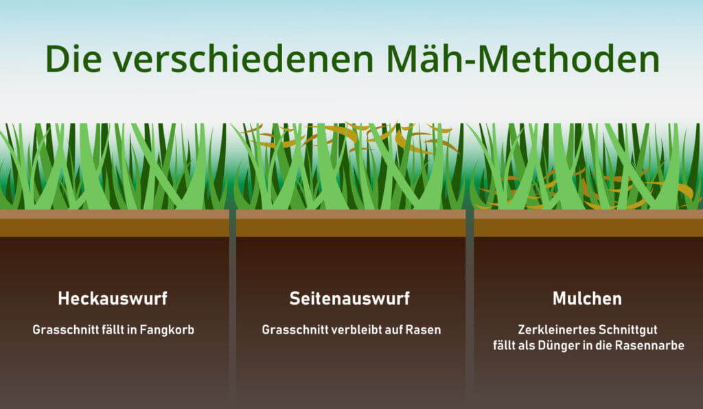 Comparison of the different mowing methods