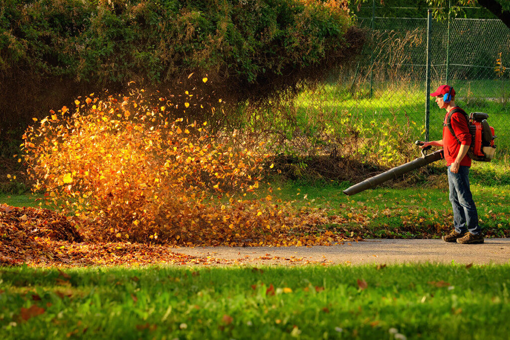 autumn leaves being whirled up by a leaf blower