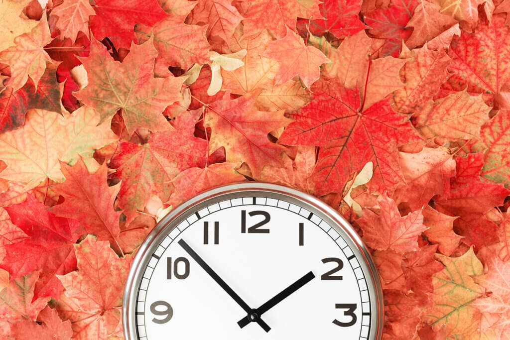 clock lies on autumn leaves