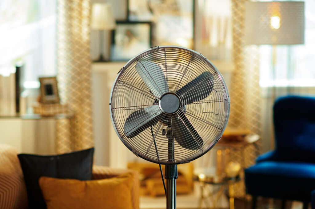 fan in the living room