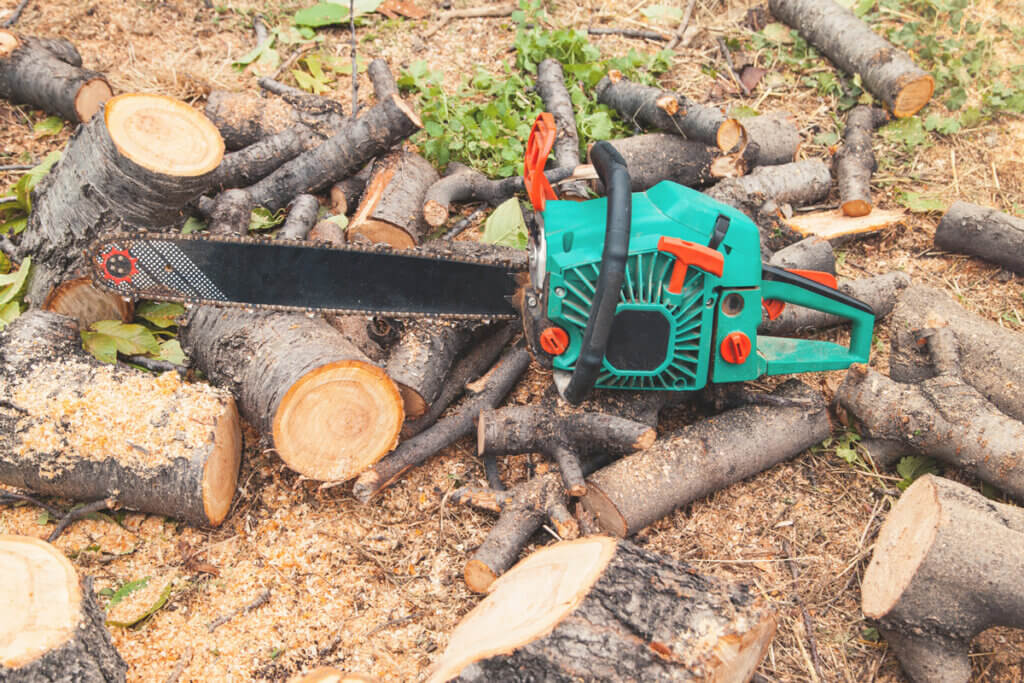 petrol chainsaw between sawn wood